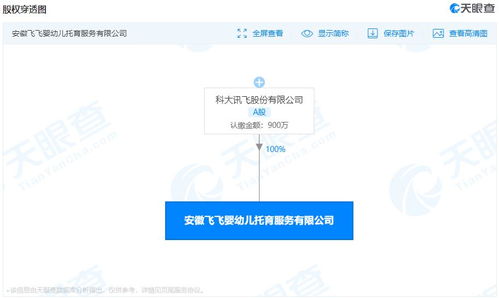 科大訊飛布局嬰幼兒托育服務(wù)，信息系統(tǒng)集成助力多元化發(fā)展